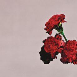 John Legend - All Of Me(+5)(멜로디 MR)