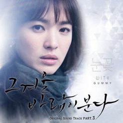 거미 - 눈꽃(-2)