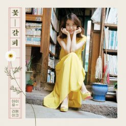 아이유 - 너의 의미(1절+후렴)(-6)(멜로디 MR)