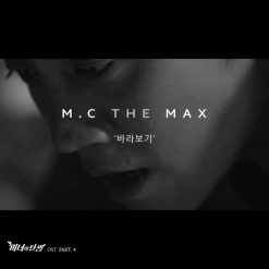 M.C. the Max - 바라보기