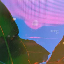 소향 - 사랑합니다(남자키)