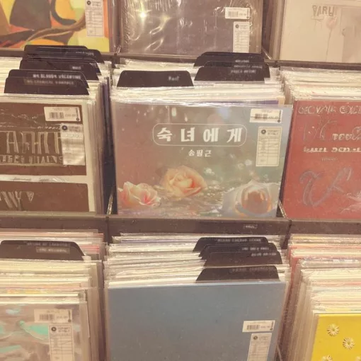 송필근 – 숙녀에게(+5)(1절앞+후렴)