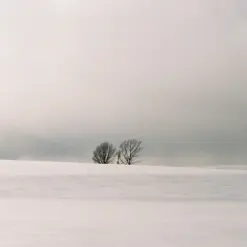 조째즈 - 모르시나요